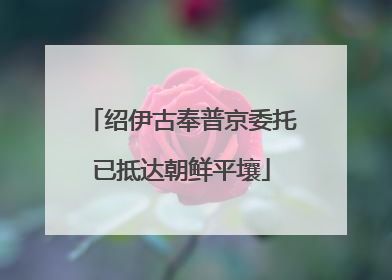 绍伊古奉普京委托已抵达朝鲜平壤