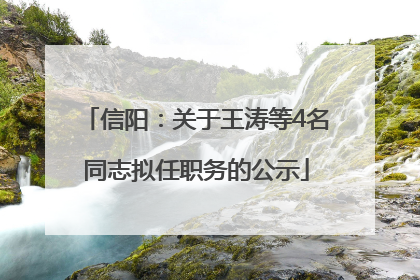 信阳：关于王涛等4名同志拟任职务的公示