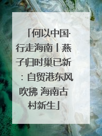 何以中国·行走海南丨燕子归时巢已新：自贸港东风吹拂 海南古村新生