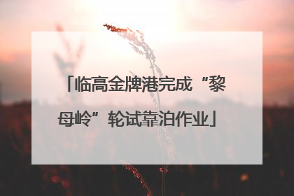 临高金牌港完成“黎母岭”轮试靠泊作业