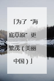 为了“海底草原”更繁茂（美丽中国）