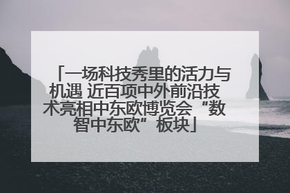 一场科技秀里的活力与机遇 近百项中外前沿技术亮相中东欧博览会“数智中东欧”板块