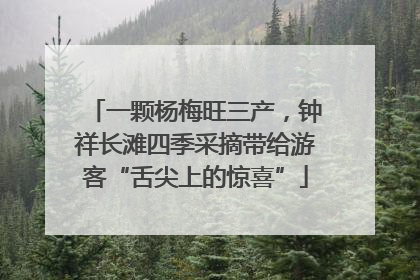 一颗杨梅旺三产，钟祥长滩四季采摘带给游客“舌尖上的惊喜”
