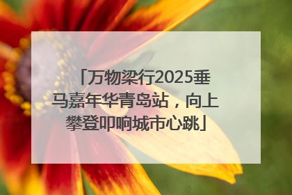 万物梁行2025垂马嘉年华青岛站，向上攀登叩响城市心跳