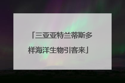 三亚亚特兰蒂斯多样海洋生物引客来