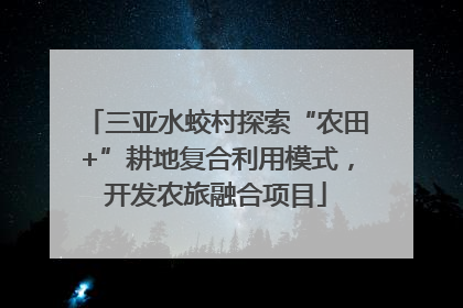 三亚水蛟村探索“农田+”耕地复合利用模式，开发农旅融合项目