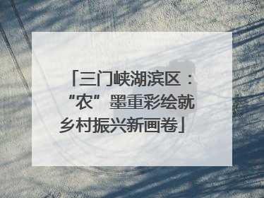 三门峡湖滨区：“农”墨重彩绘就乡村振兴新画卷