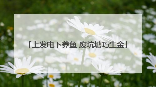 上发电下养鱼 废坑塘巧生金