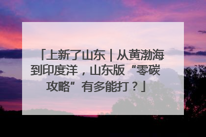 上新了山东｜从黄渤海到印度洋，山东版“零碳攻略”有多能打？