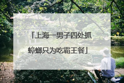 上海一男子四处抓蟑螂只为吃霸王餐