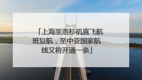 上海至洛杉矶直飞航班复航，至中亚国家航线又将开通一条