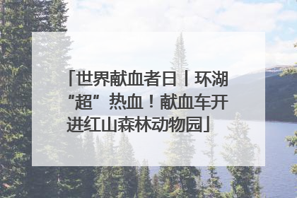 世界献血者日丨环湖“超”热血！献血车开进红山森林动物园