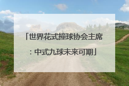世界花式撞球协会主席：中式九球未来可期