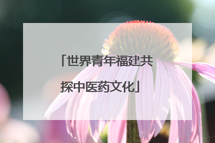 世界青年福建共探中医药文化