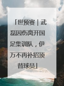 世预赛｜武磊因伤离开国足集训队，伊万不再补招顶替球员