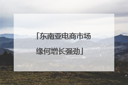东南亚电商市场缘何增长强劲