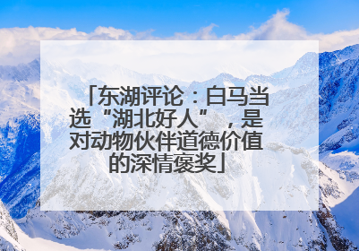 东湖评论：白马当选“湖北好人”，是对动物伙伴道德价值的深情褒奖