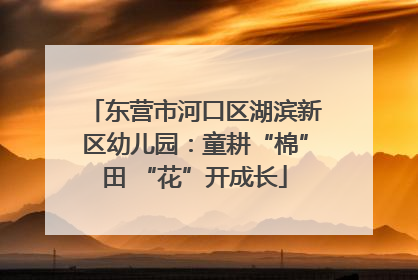 东营市河口区湖滨新区幼儿园：童耕“棉”田 “花”开成长
