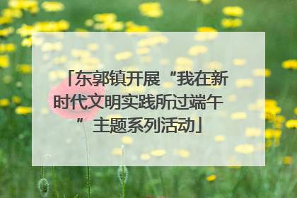 东郭镇开展“我在新时代文明实践所过端午”主题系列活动
