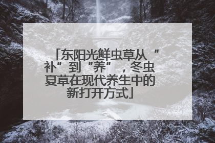 东阳光鲜虫草从“补”到“养”，冬虫夏草在现代养生中的新打开方式