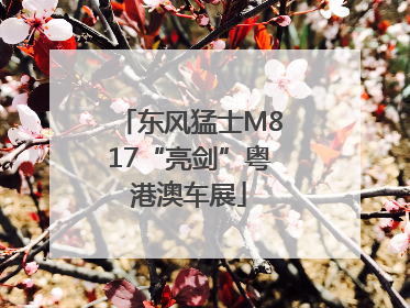 东风猛士M817“亮剑”粤港澳车展