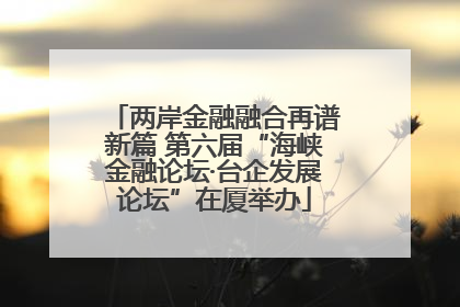 两岸金融融合再谱新篇 第六届“海峡金融论坛·台企发展论坛”在厦举办