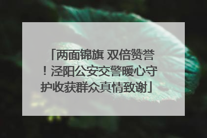 两面锦旗 双倍赞誉！泾阳公安交警暖心守护收获群众真情致谢