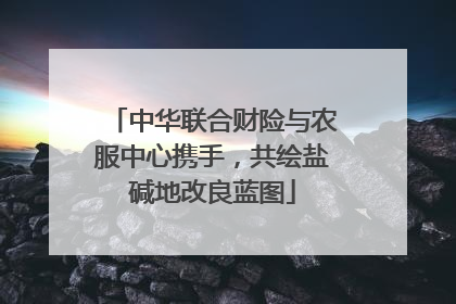 中华联合财险与农服中心携手，共绘盐碱地改良蓝图