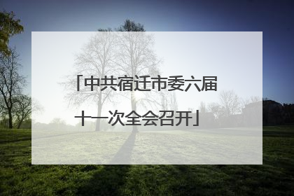 中共宿迁市委六届十一次全会召开