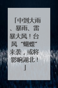 中到大雨、暴雨、雷暴大风！台风“蝴蝶”来袭，或将影响湖北！