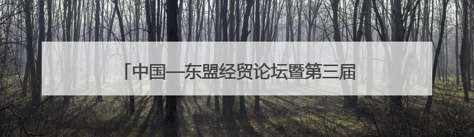 中国—东盟经贸论坛暨第三届链博会推介会在吉隆坡举行