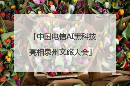 中国电信AI黑科技亮相泉州文旅大会