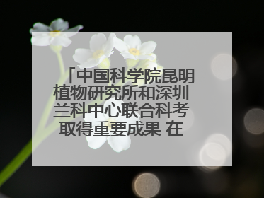 中国科学院昆明植物研究所和深圳兰科中心联合科考取得重要成果 在神农架发现两种“国保”级兰花