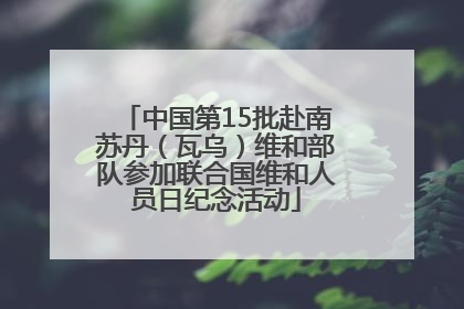 中国第15批赴南苏丹（瓦乌）维和部队参加联合国维和人员日纪念活动