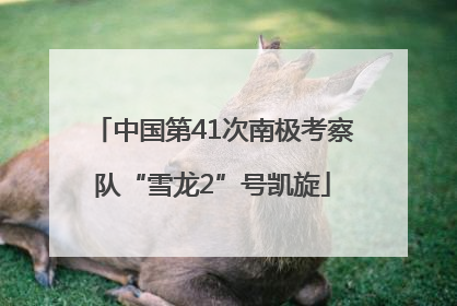 中国第41次南极考察队“雪龙2”号凯旋