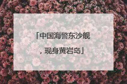 中国海警东沙舰，现身黄岩岛