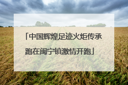 中国辉煌足迹火炬传承跑在闽宁镇激情开跑