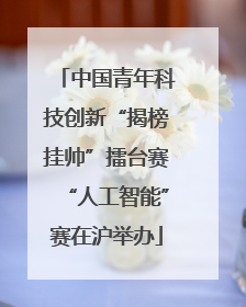 中国青年科技创新“揭榜挂帅”擂台赛“人工智能”赛在沪举办