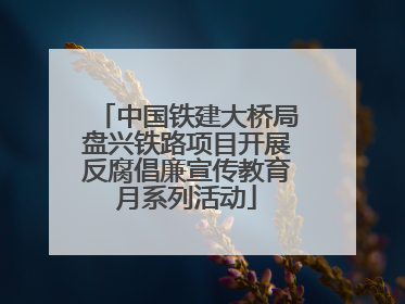 中国铁建大桥局盘兴铁路项目开展反腐倡廉宣传教育月系列活动