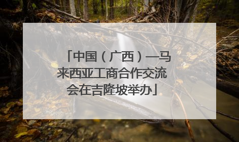中国（广西）—马来西亚工商合作交流会在吉隆坡举办