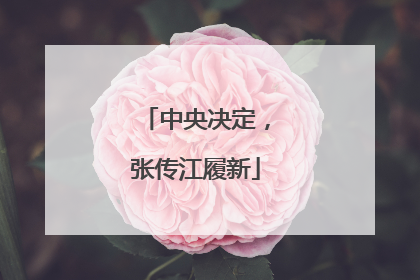 中央决定，张传江履新