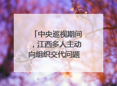 中央巡视期间，江西多人主动向组织交代问题｜打虎拍蝇