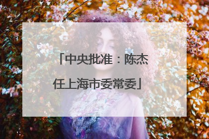 中央批准：陈杰任上海市委常委