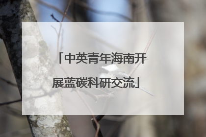 中英青年海南开展蓝碳科研交流