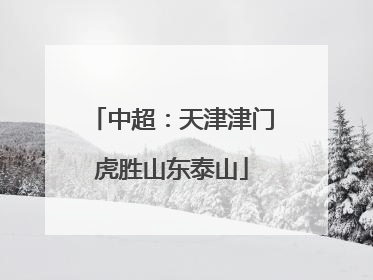 中超：天津津门虎胜山东泰山