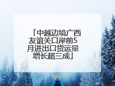 中越边境广西友谊关口岸前5月进出口货运量增长超三成