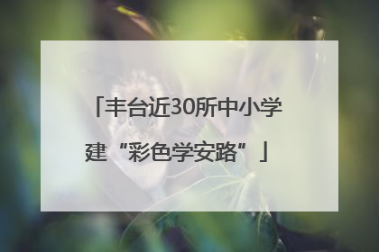 丰台近30所中小学建“彩色学安路”