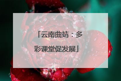 云南曲靖：多彩课堂促发展