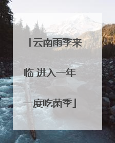 云南雨季来临 进入一年一度吃菌季