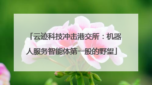 云迹科技冲击港交所：机器人服务智能体第一股的野望
